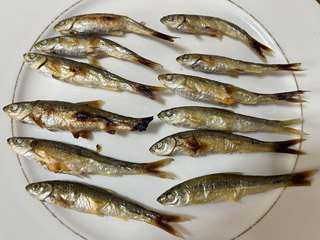 fc01