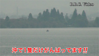 fc01