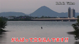 fc01
