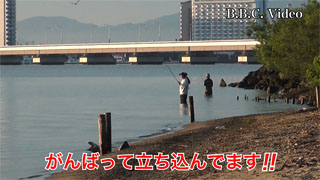 fc01