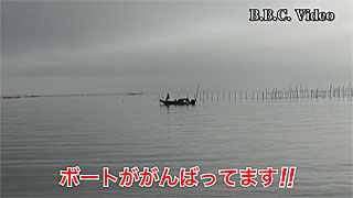 fc01