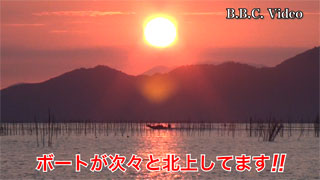 fc01
