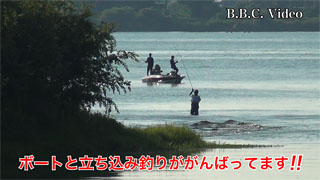 fc01