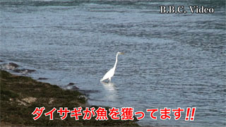 fc01