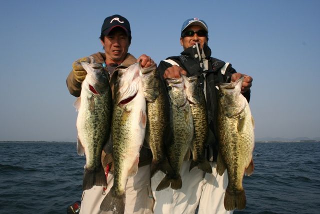 杉戸繁伸の琵琶湖ガイド情報